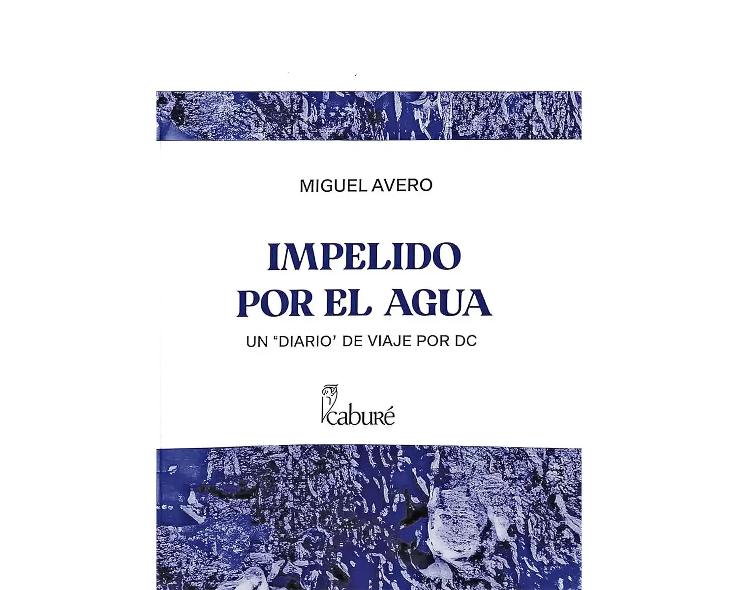 Diario de un chapuzón - Semanario Brecha