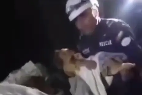 Terremoto en Venezuela: milagroso rescate de un niño tras casi seis días bajo las ruinas
