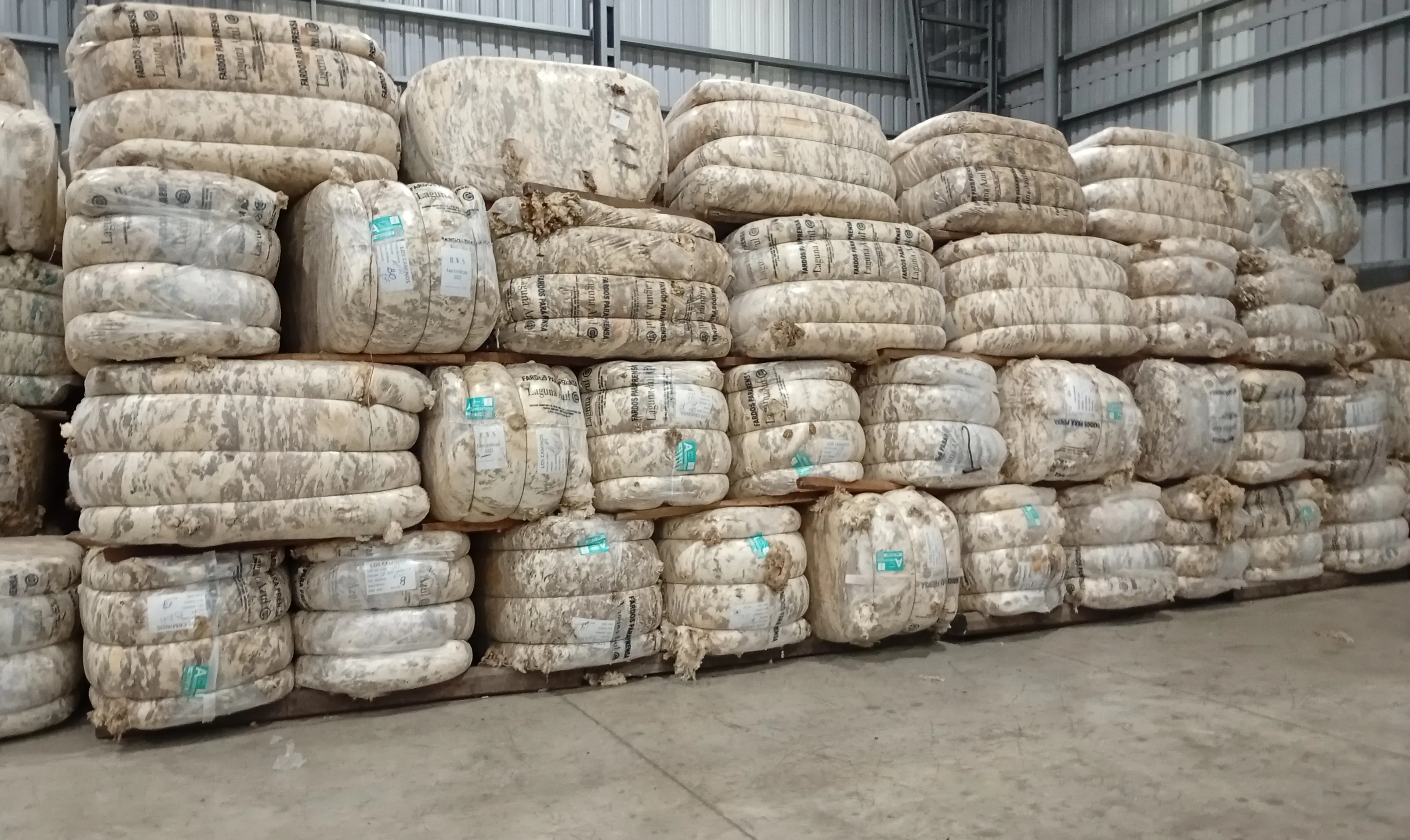 Exportaciones del rubro ovino crecieron un 26%