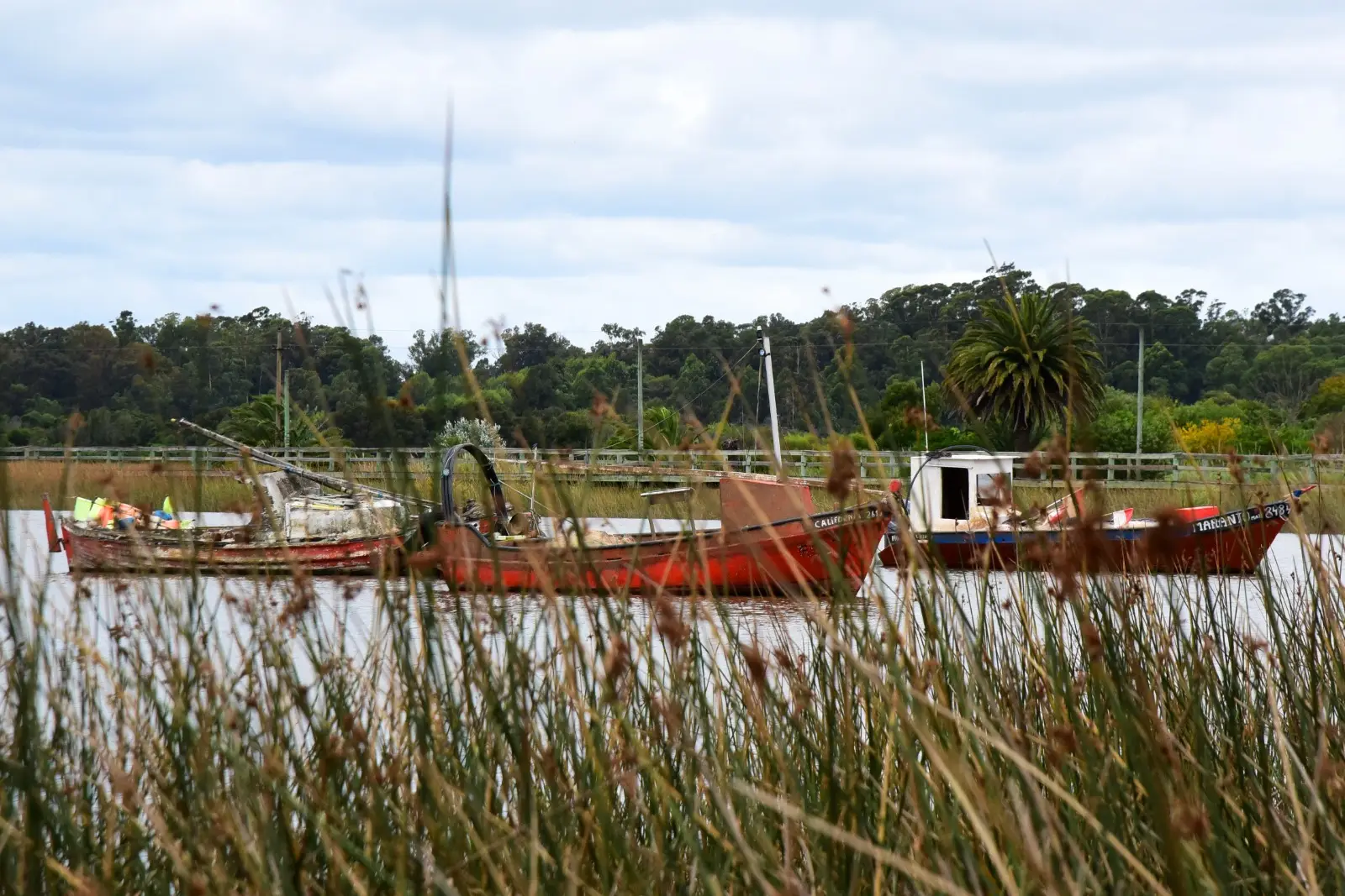 Conflicto pesquero en Uruguay: de denuncias por "semiesclavitud" a salarios de $ 67.000 por trabajar cinco días