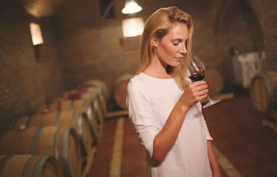 Valor añejado: las bodegas uruguayas llevan el encanto del vino a la ciudad y reconectan con el público
