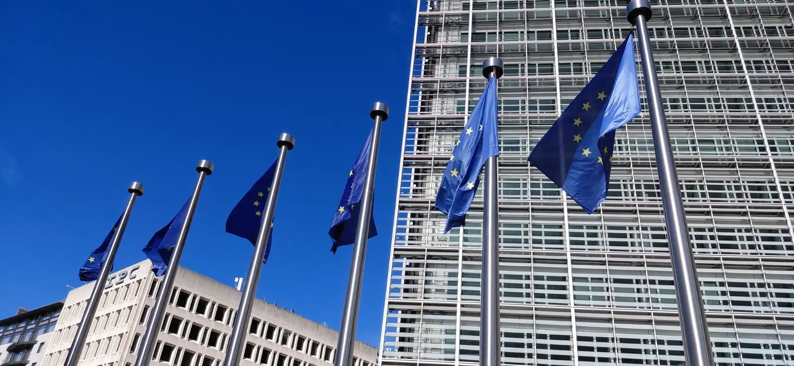 Unión Europea: prohibición cárnica a Brasil que no afectará a Uruguay, reparto de cuotas del Mercosur y ratificación del acuerdo