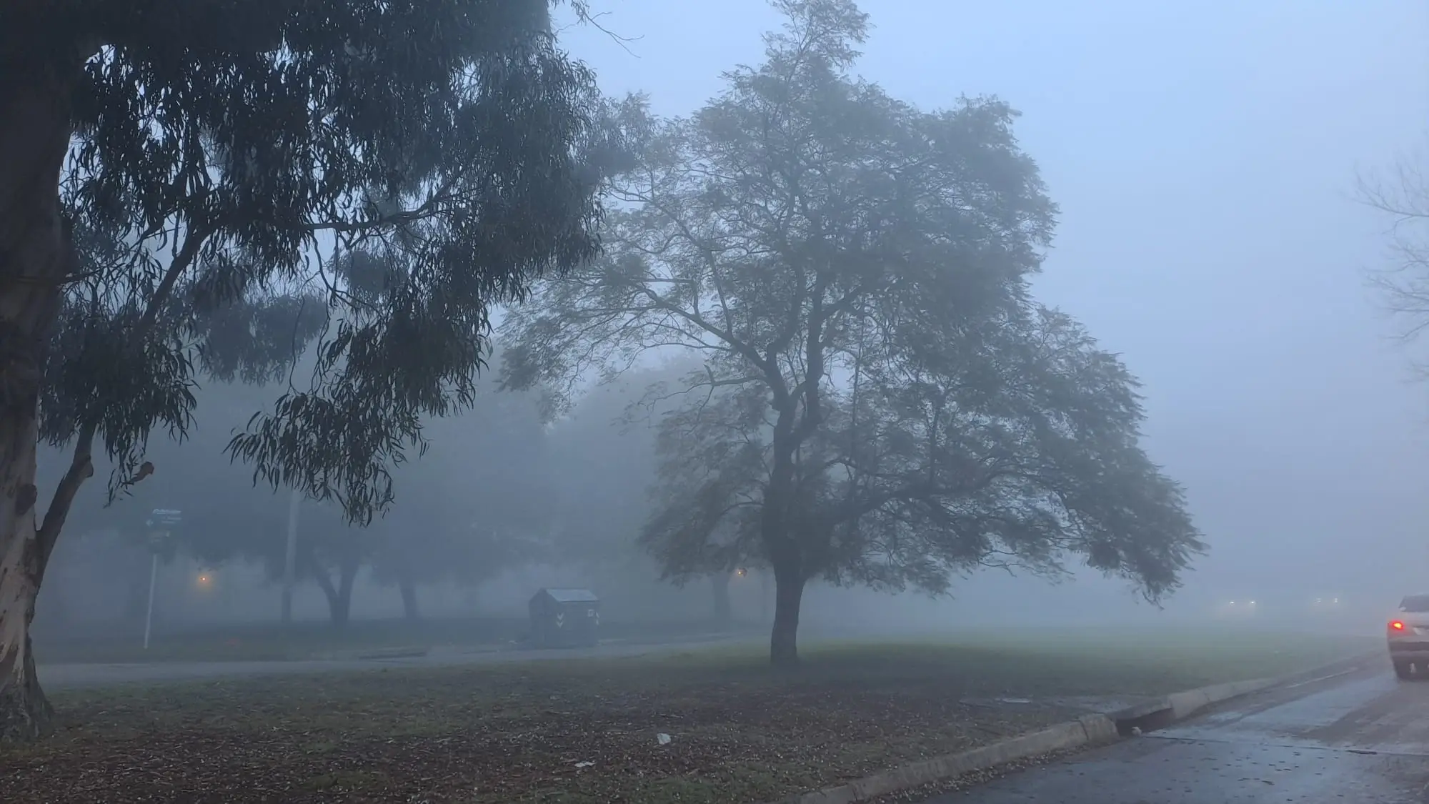 Intensa niebla cubre Montevideo: ¿cuándo ingresará "una masa de aire seca", según Inumet?