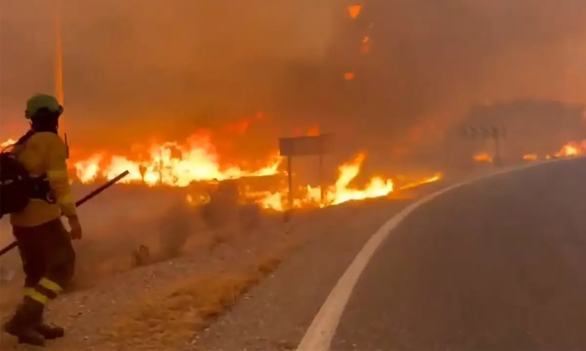 Tragedia en España: un fuerte incendio forestal en Almería causó la muerte de al menos 11 personas