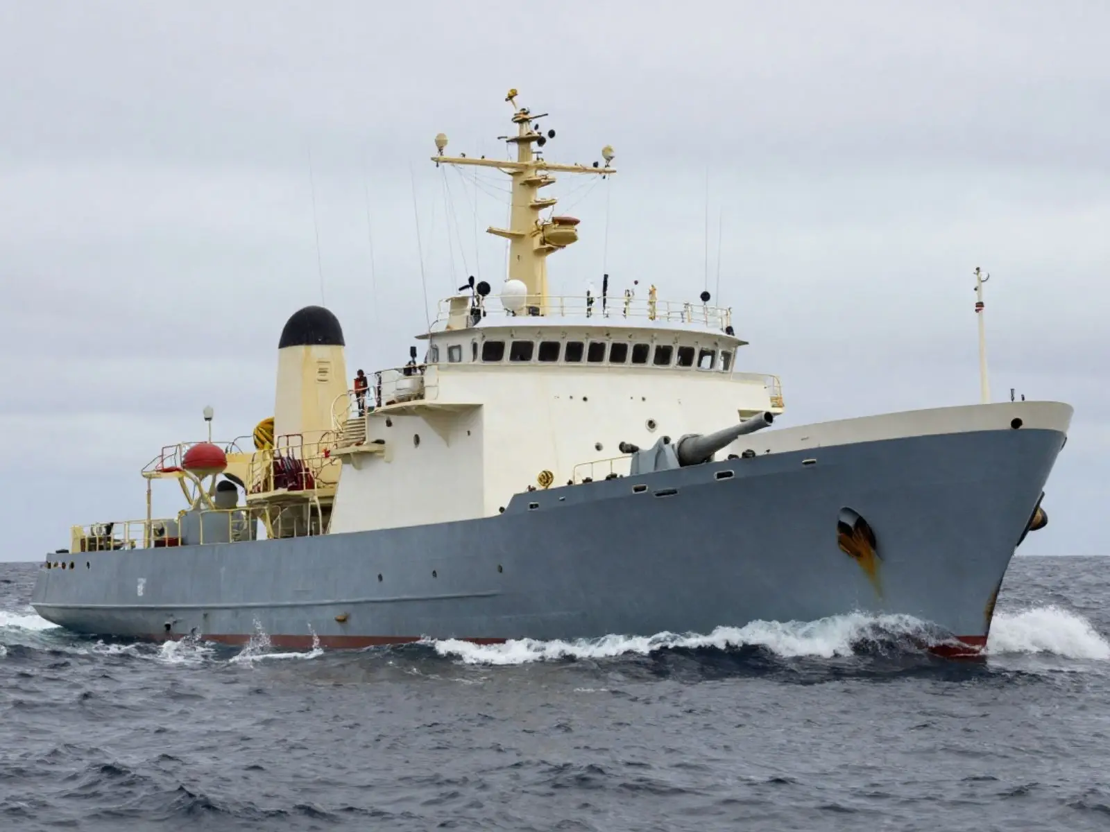 El regreso de la caza comercial de ballenas en Islandia y el proyecto de ley que busca frenarla para siempre