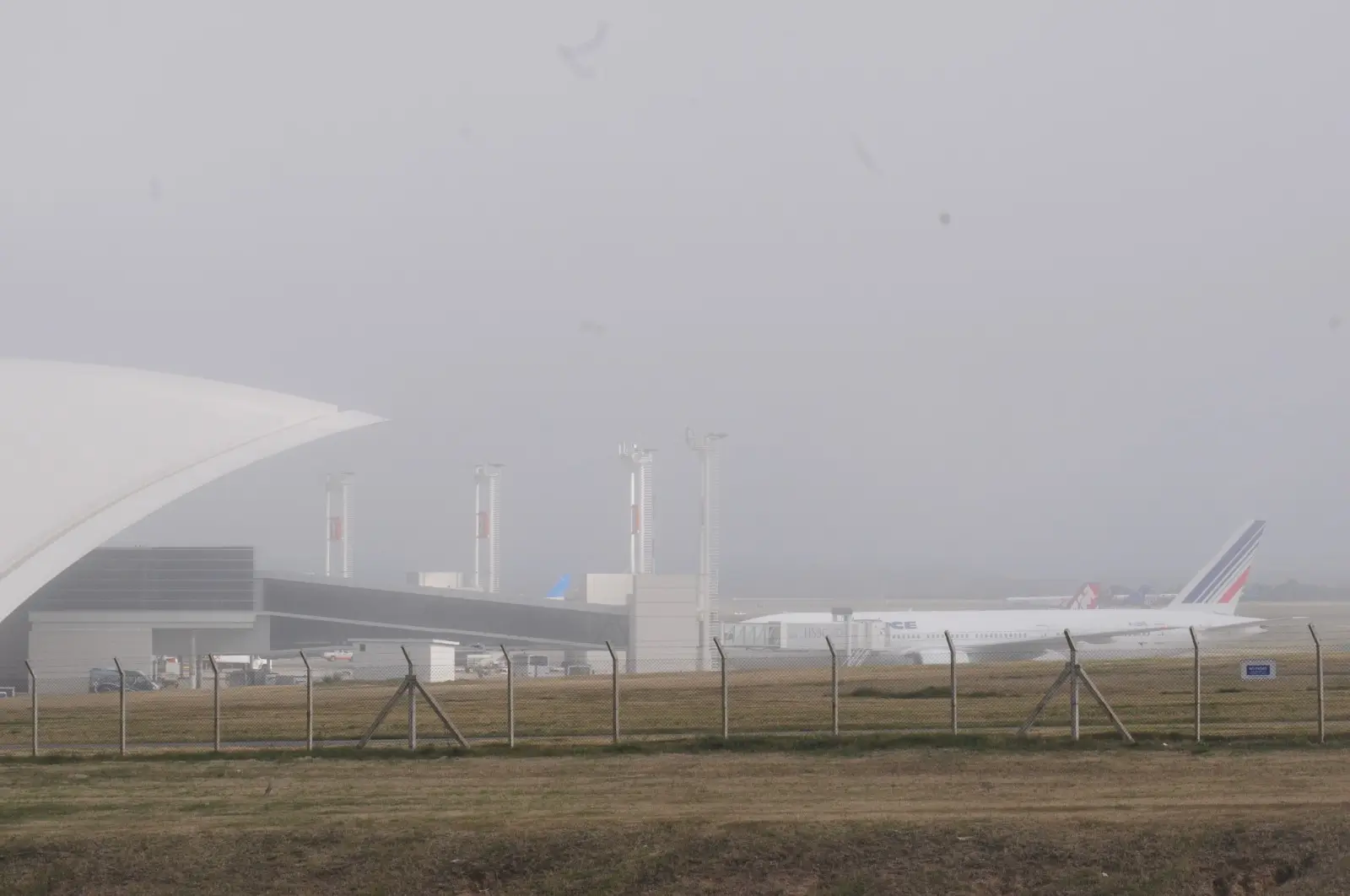 Aeropuerto: por la niebla en 2026 fueron cancelados o demorados 142 vuelos y más de 20.600 pasajeros afectados