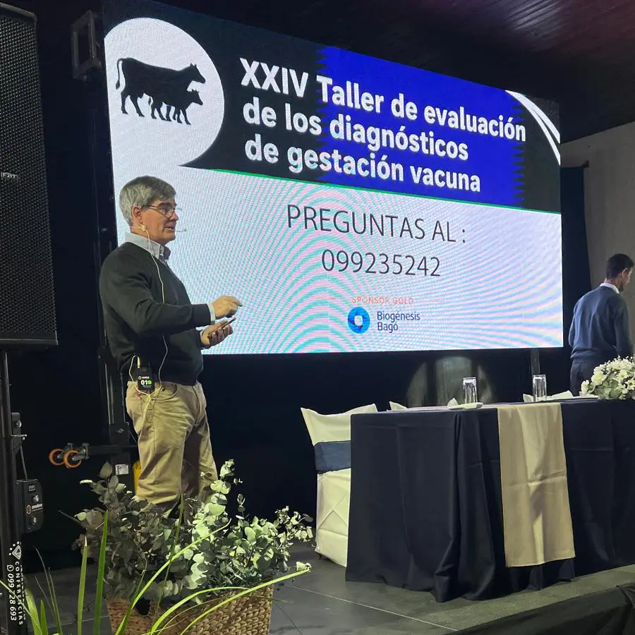 Uruguay pierde más de 300.000 terneros al año