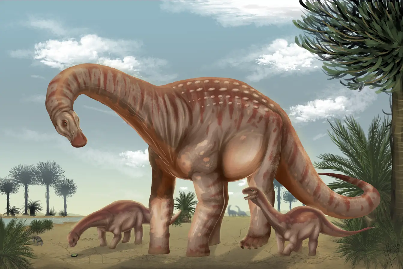 El dinosaurio de José Artigas: así identificaron una nueva especie uruguaya a partir de solo dos vértebras