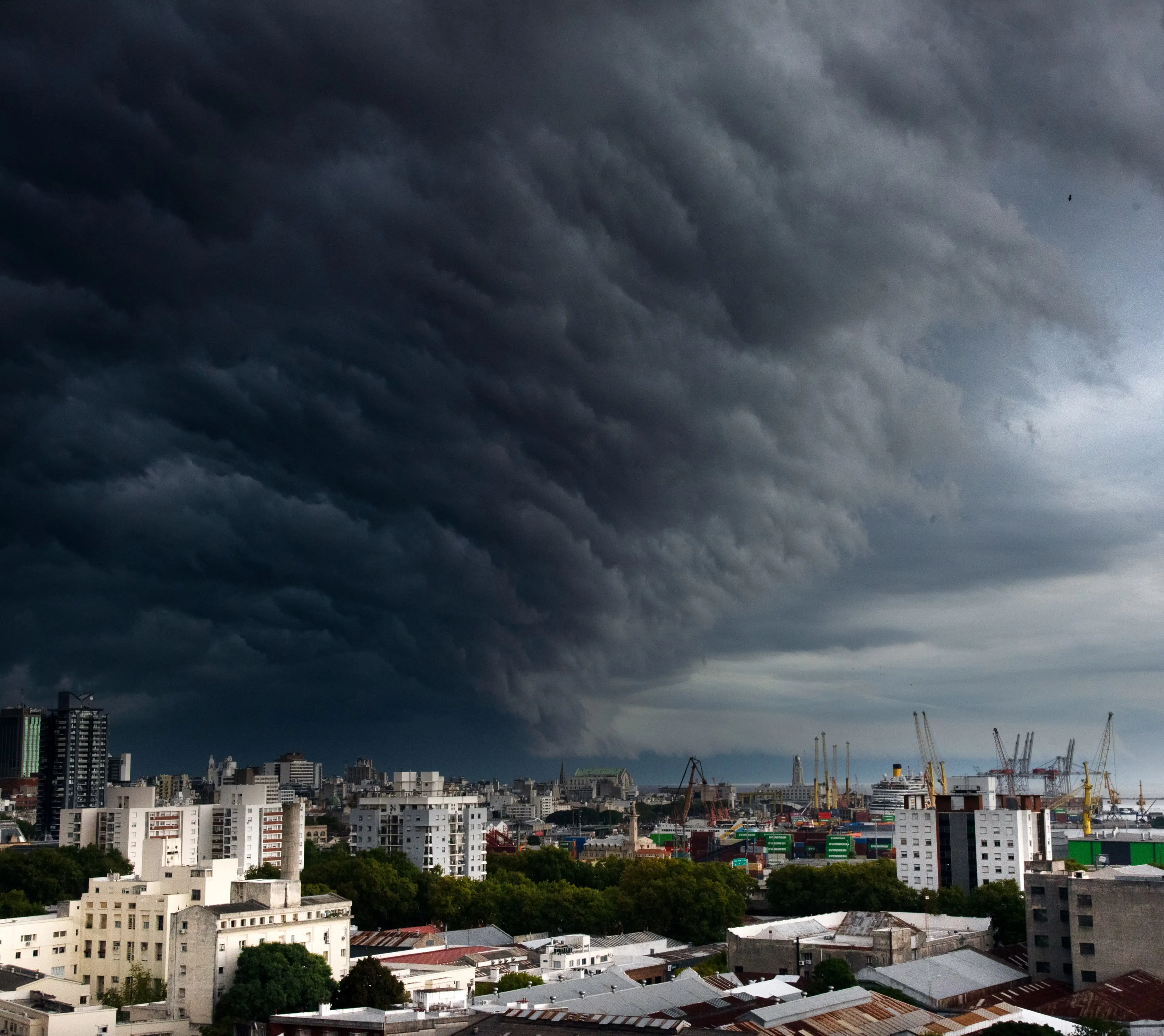 Confirman el inicio de El Niño y advierten que podría ser histórico: qué impacto tendría en Uruguay