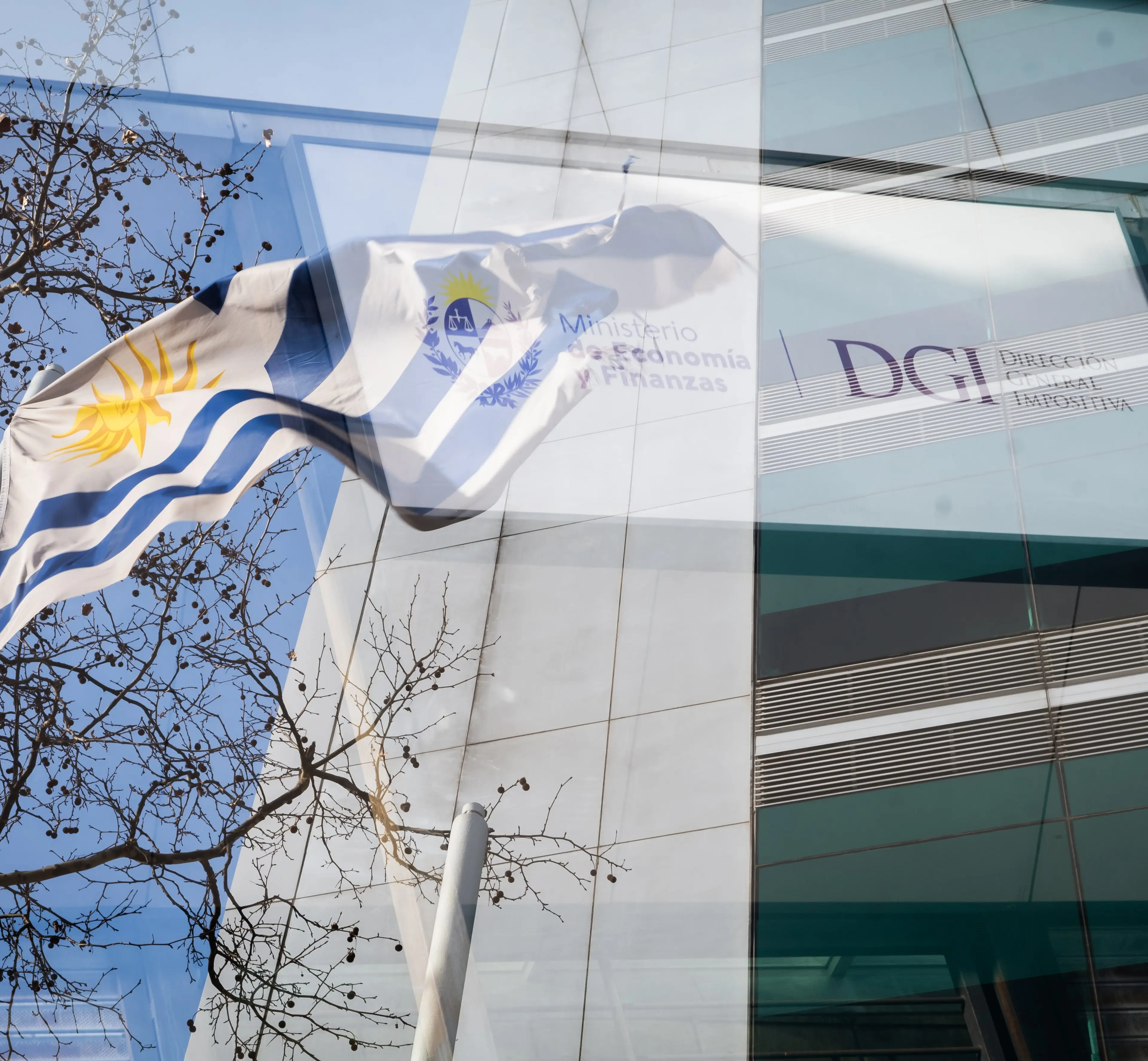 Los cambios que tiene previsto introducir la DGI en las declaraciones juradas de Mipymes, IRPF de arrendamientos y compras online