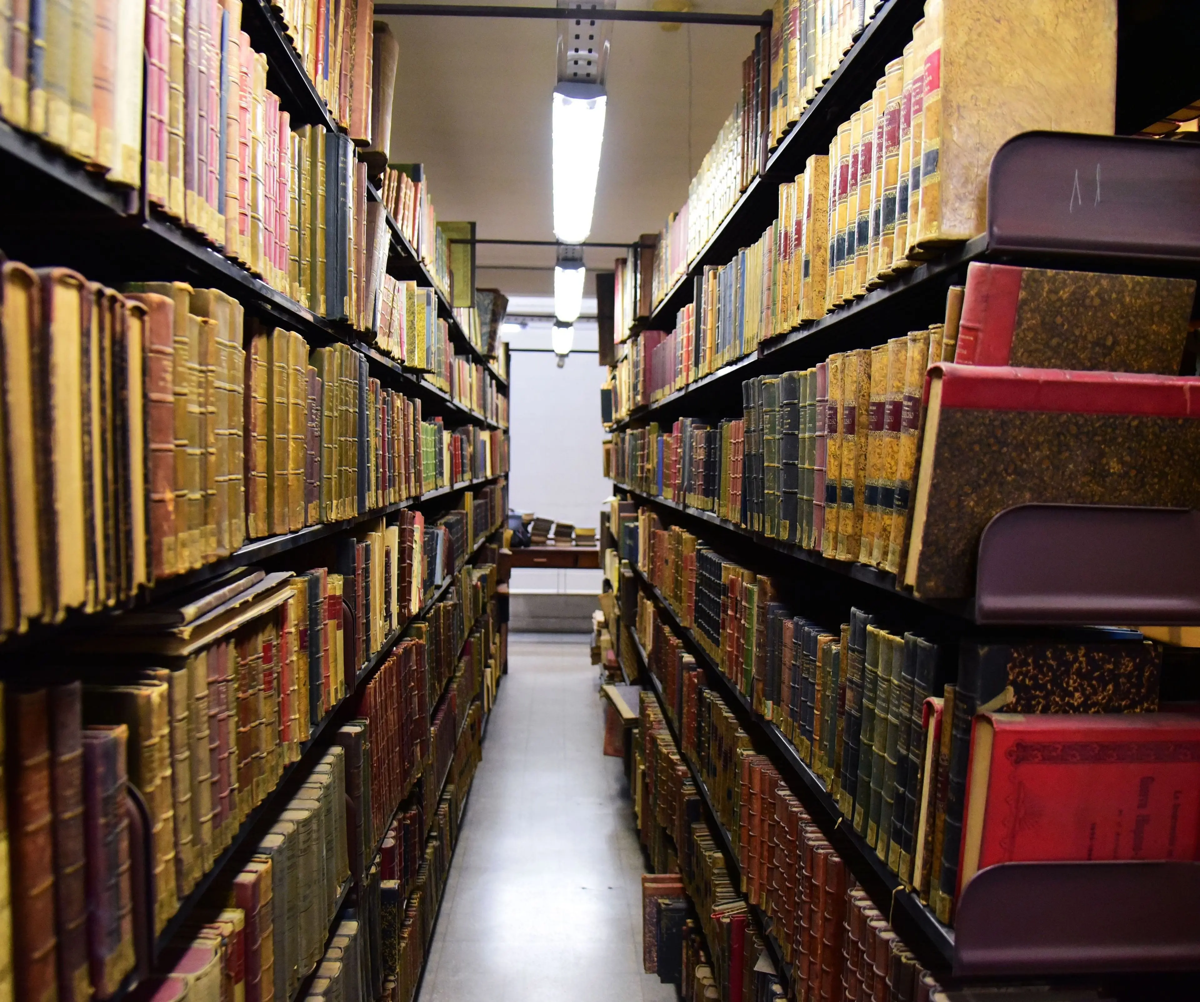 Reforma de la Biblioteca Nacional: así es el plan de US$ 30 millones para remodelarla en tres etapas
