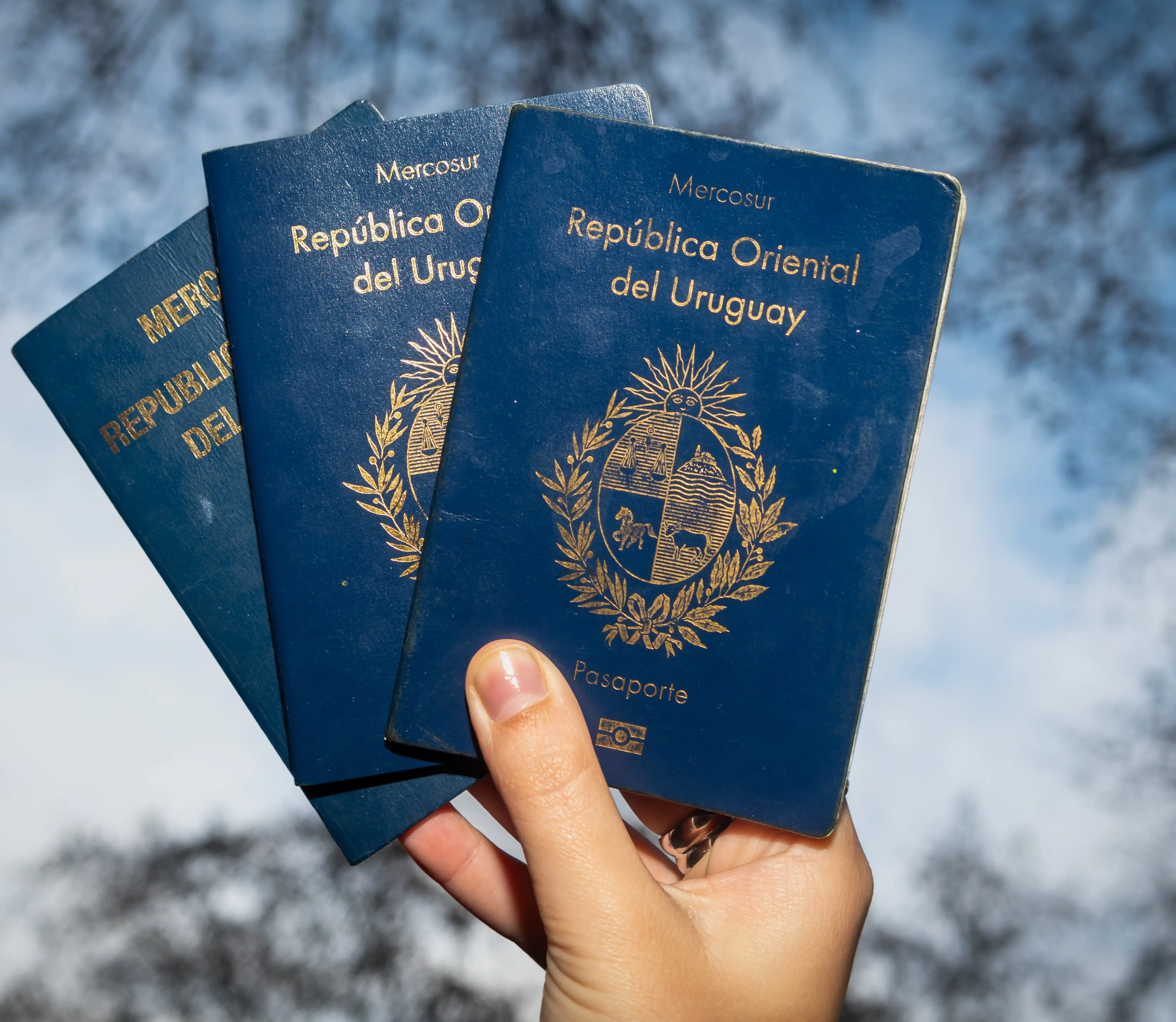 Aumentaron los precios para tramitar el pasaporte uruguayo en julio de 2026: cuánto cuesta ahora