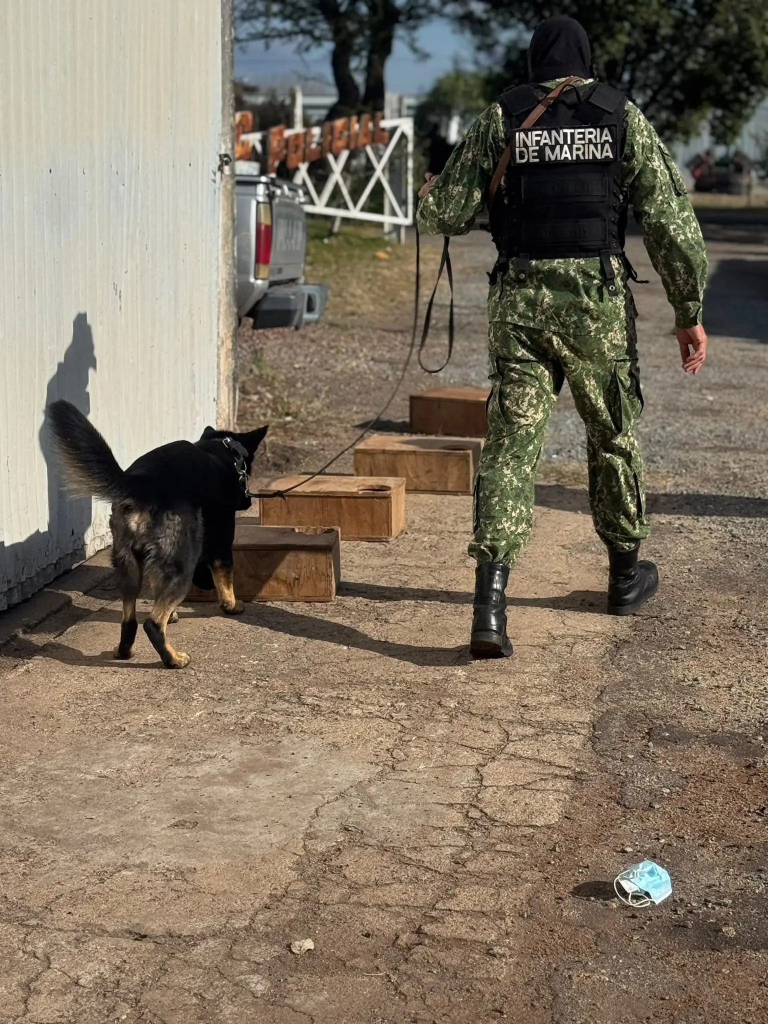 Búsqueda de drogas, explosivos y cierre con premios: cómo fue el primer evento de perros detectores en Soriano