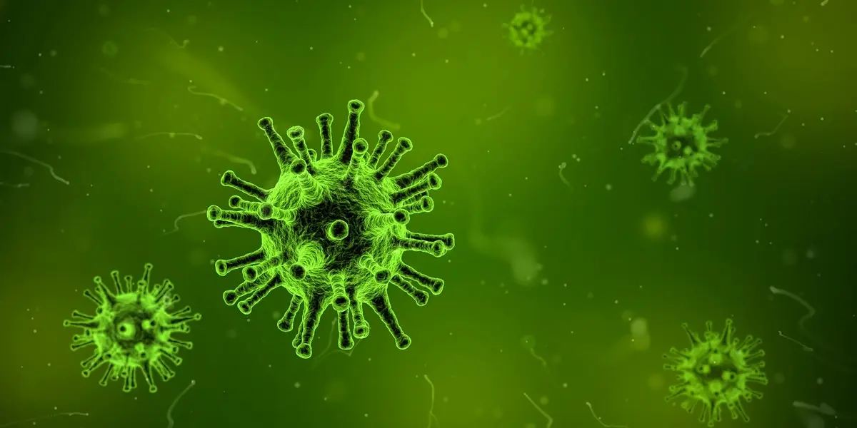 Qué es la Cyclospora, el parásito que causa diarrea “explosiva” y tiene en vilo a EE. UU.