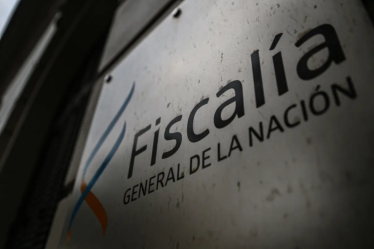 Hombre asesinó a golpes al gato de su vecina y la Justicia lo imputó; tendrá domiciliaria