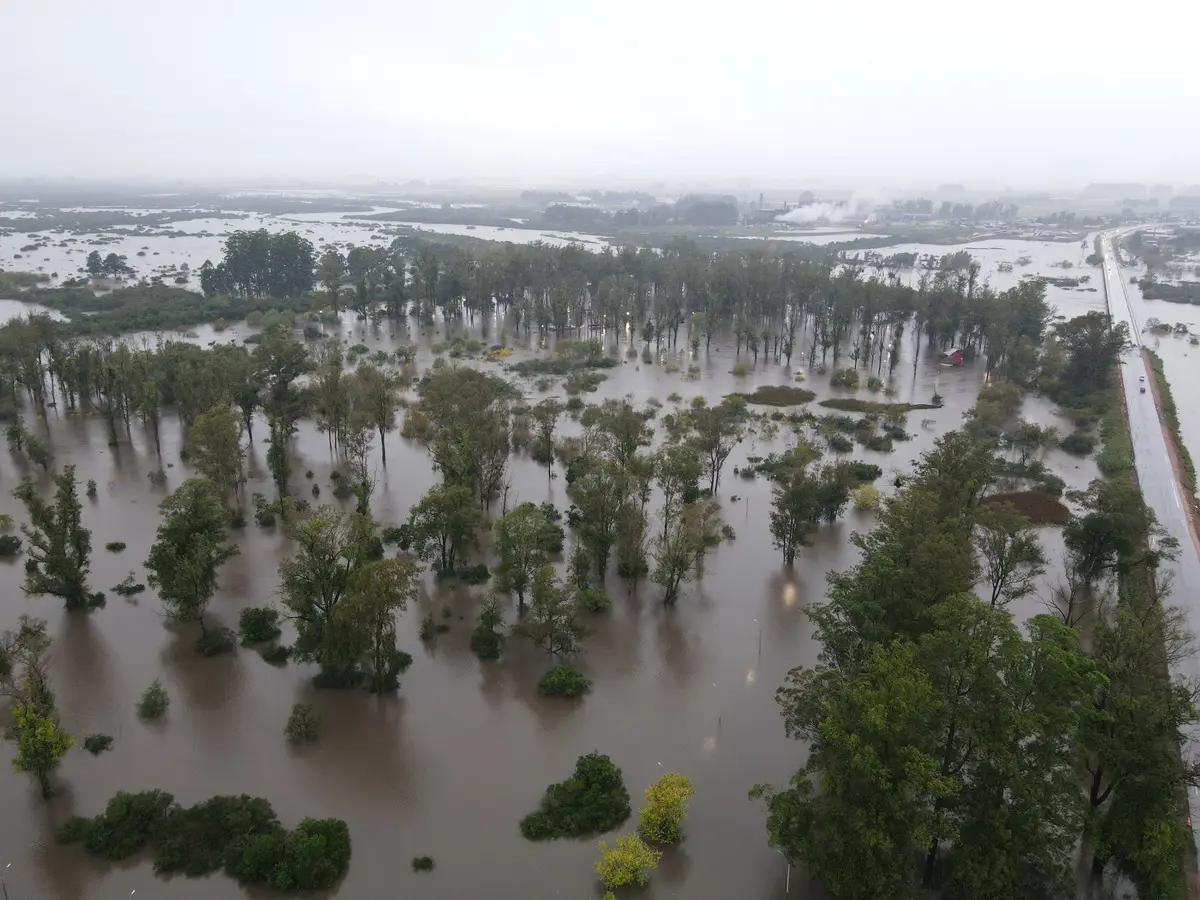 ONU advirtió por avance de El Niño y proyecta un “episodio fuerte” entre julio y setiembre