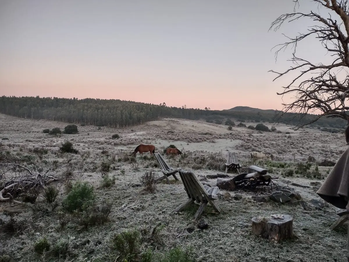 Heladas, nieblas y hasta -2 ºC: meteorólogo anunció hasta cuándo seguirá el frío extremo