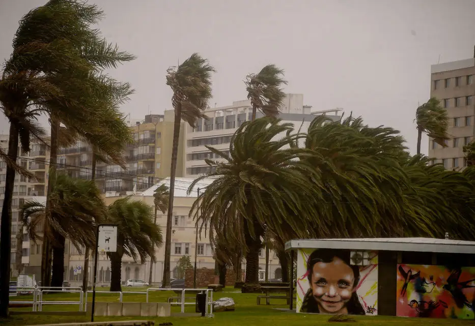 Advierten que El Niño Godzilla llegará antes a Uruguay: cuándo y por qué sería histórico