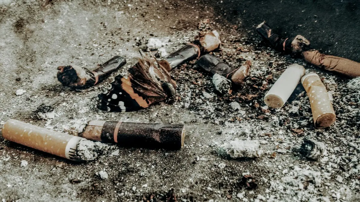 Proyecto busca prohibir arrojar colillas de cigarrillos en Montevideo tras “deterioro”