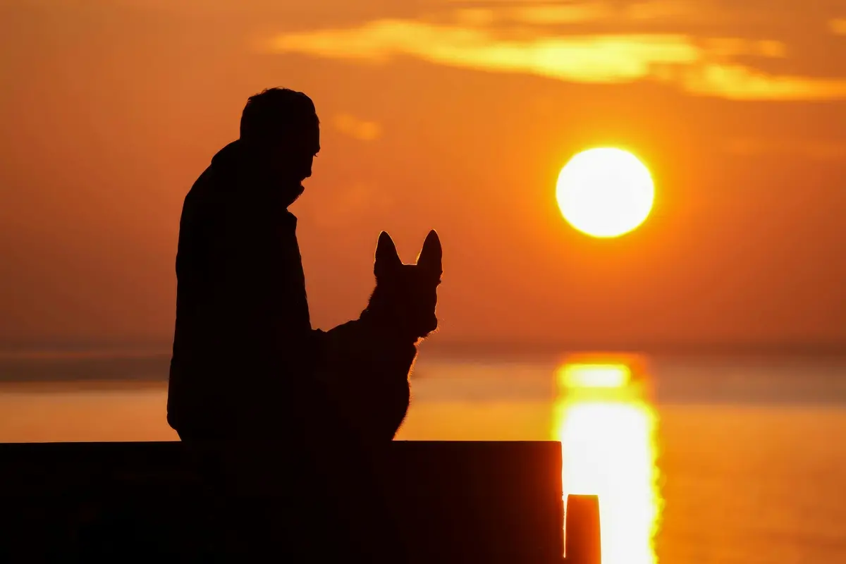 Vacaciones con mascotas: los requisitos para la entrada y salida de Uruguay