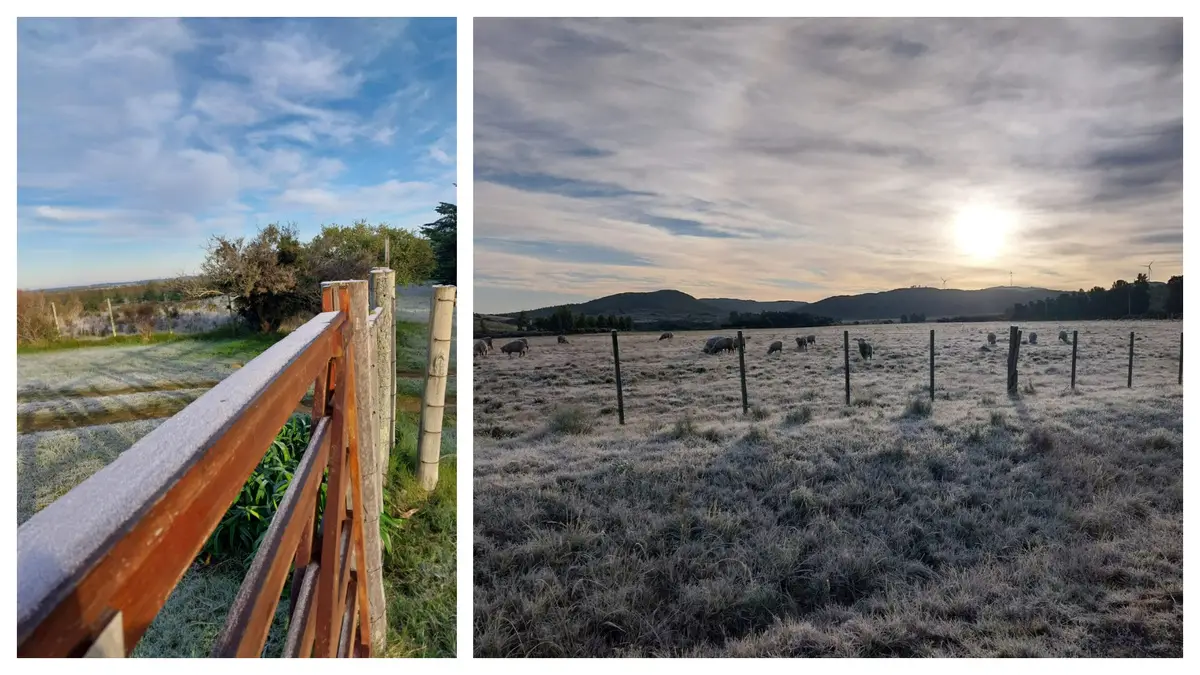 “Doble poncho” o ser “como una cebolla”: meteorólogo advierte por “masa de aire polar”