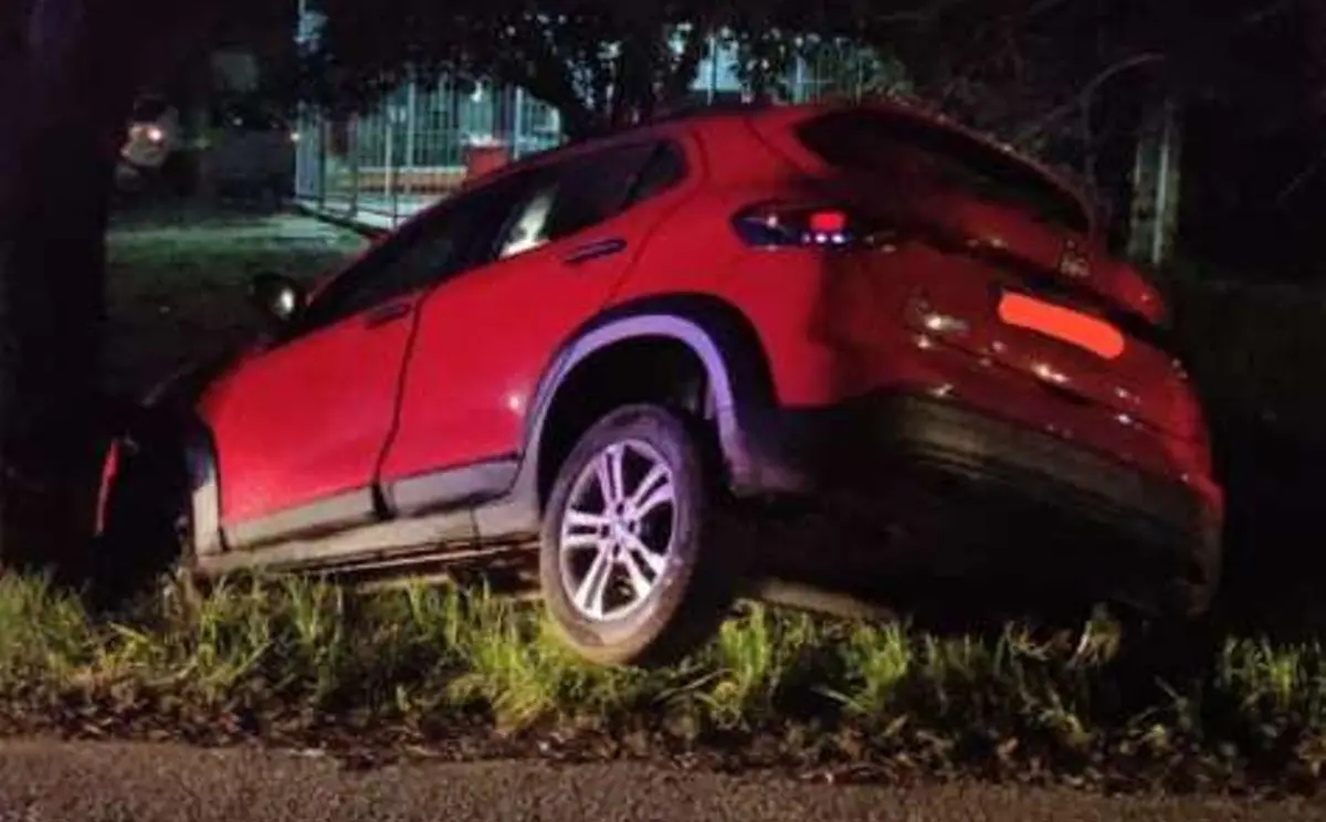 Un joven chocó con un auto robado a un patrullero, cayó a una zanja y terminó detenido