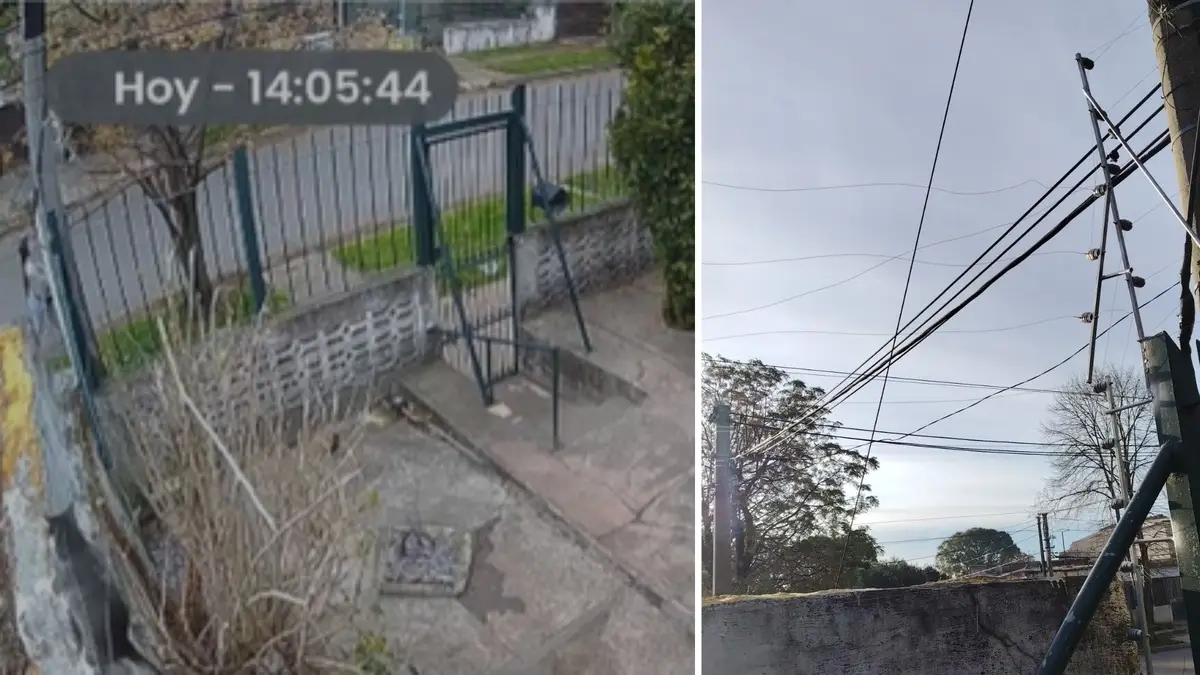 “Tirale el bicho”: querían entrar a robar una casa y lanzaron un gato a un cerco eléctrico