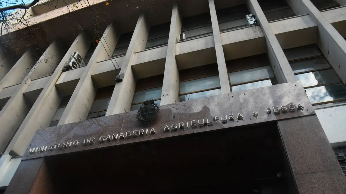 MGAP abrió llamado laboral con sueldo de casi $ 57.000 más IVA: requisitos y cómo anotarse