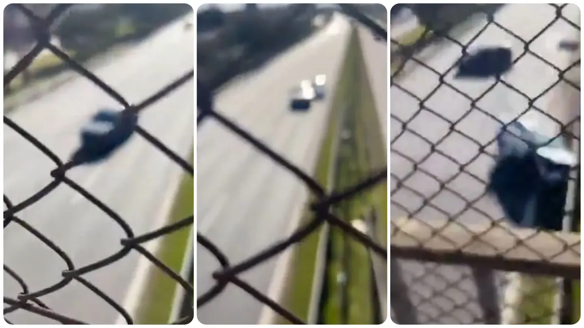 Argentina: mujer iba en reversa por la Panamericana y chocó a otro auto; terminó internada