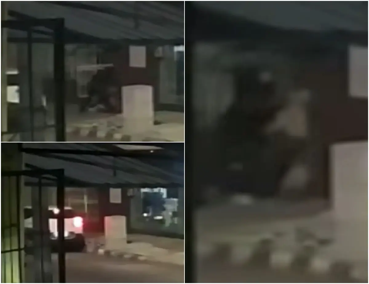 Pareja fue golpeada, le tiraron gas en la cara y los robaron en Tacuarembó; quedó filmado