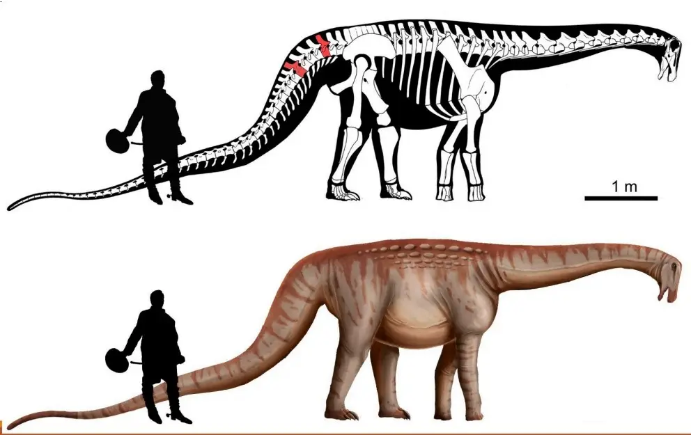 Investigadores de Udelar descubrieron una nueva especie de dinosaurio uruguayo: ¿cómo era?