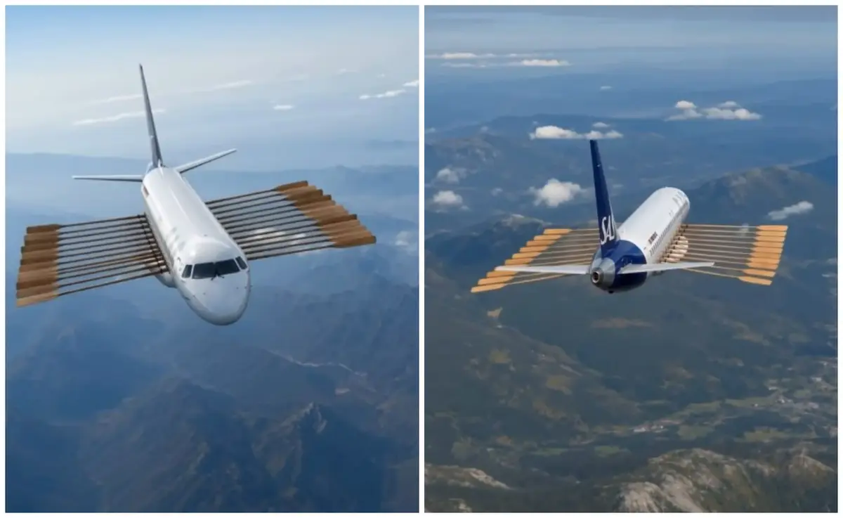 Acá remamos todos: aerolínea escandinava se une a la hinchada noruega con un video