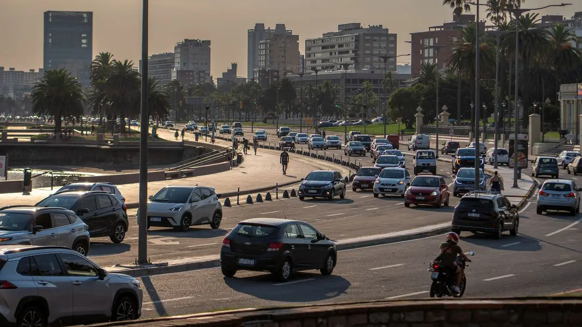 Defensoría de Vecinos de Montevideo pide cambios en la regulación de ruidos molestos ante el número de denuncias por alarmas