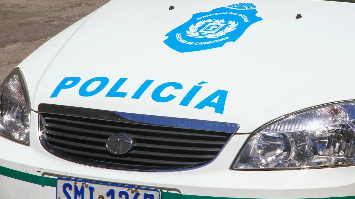 Justicia imputó al hombre que mató a golpes a un gato en Santa Lucía