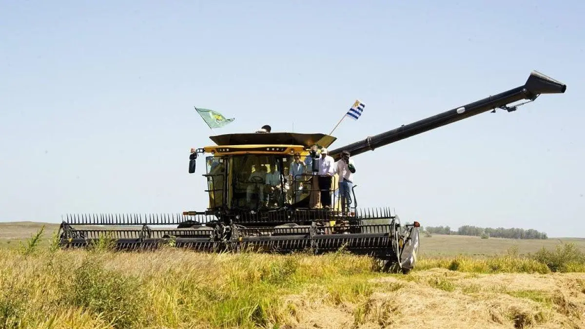 BROU refuerza apoyo al sector arrocero con refinanciación de deudas y más crédito para próxima zafra
