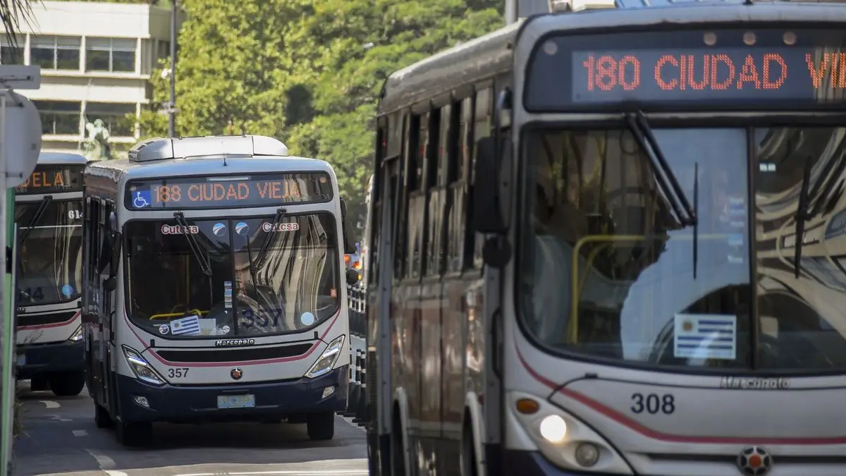 Obras de saneamiento generan desvíos de tránsito y cambios en recorridos de ómnibus en Montevideo