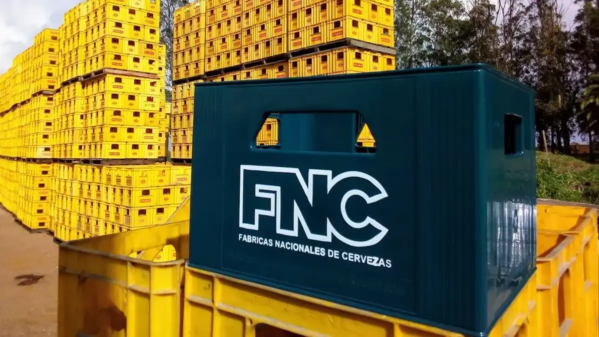 FNC envía al seguro de paro a todo el personal de Minas y comienza revisión sobre la viabilidad de sus operaciones en Uruguay