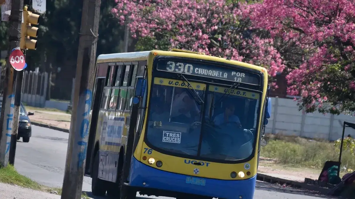 Cambian recorridos de ómnibus en Montevideo desde el lunes: nuevas paradas, mayor frecuencia y mejor conexión