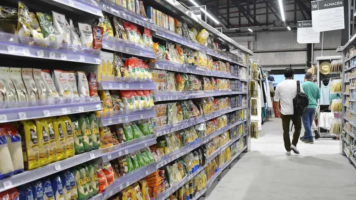 Importadores exclusivos y competencia: los precios que podrían bajar (y los que no) con el proyecto del gobierno