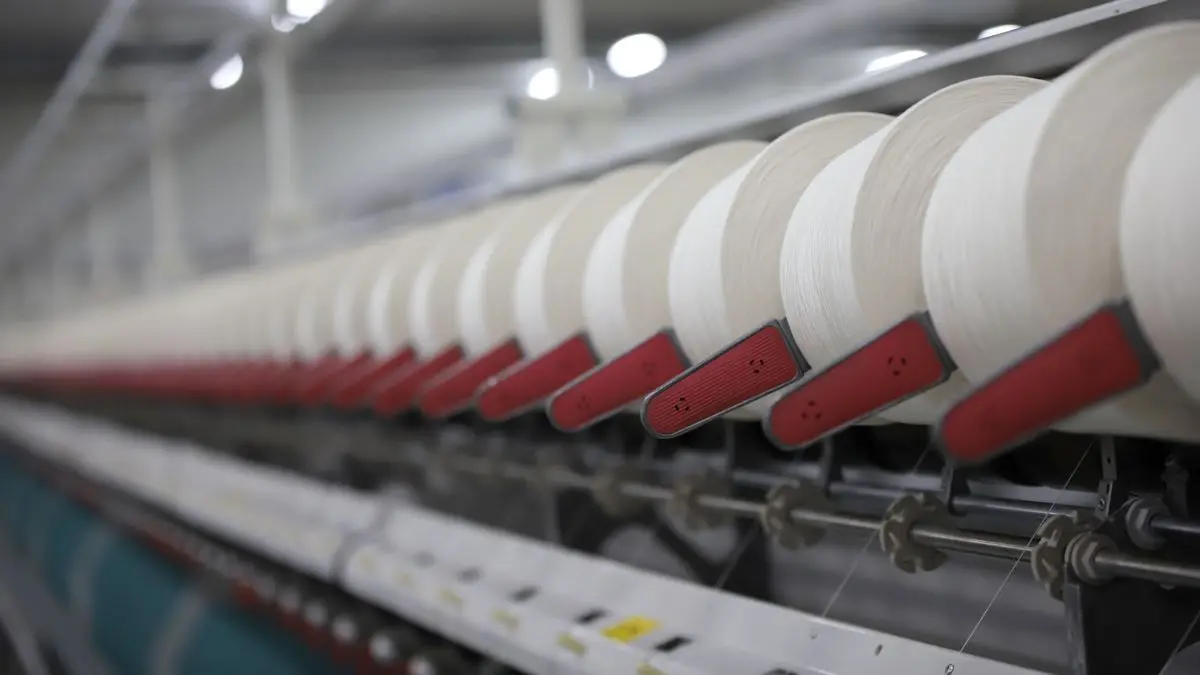 En un mercado del rubro ovino muy firme las lanas cierran la zafra con subas de más de 70%