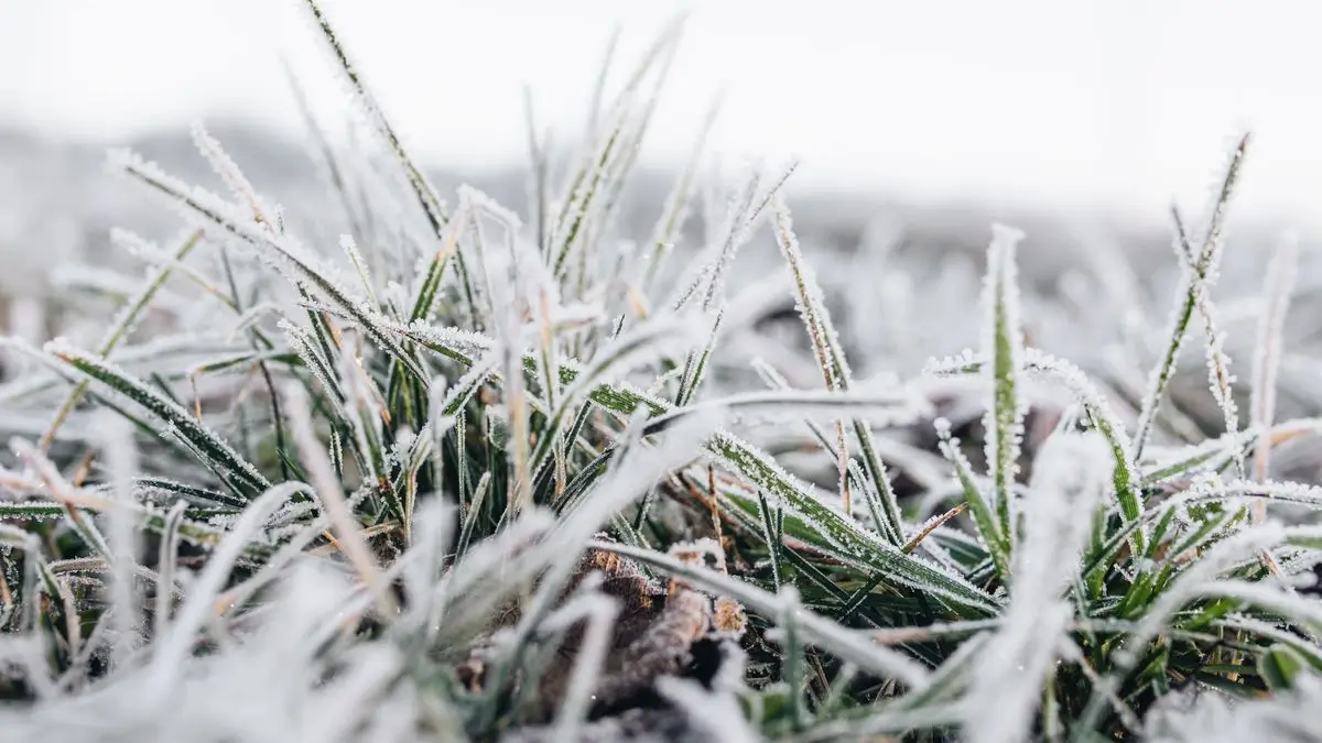 Clima en Uruguay hoy: lo que hay que saber según Inumet para este lunes 15 de junio