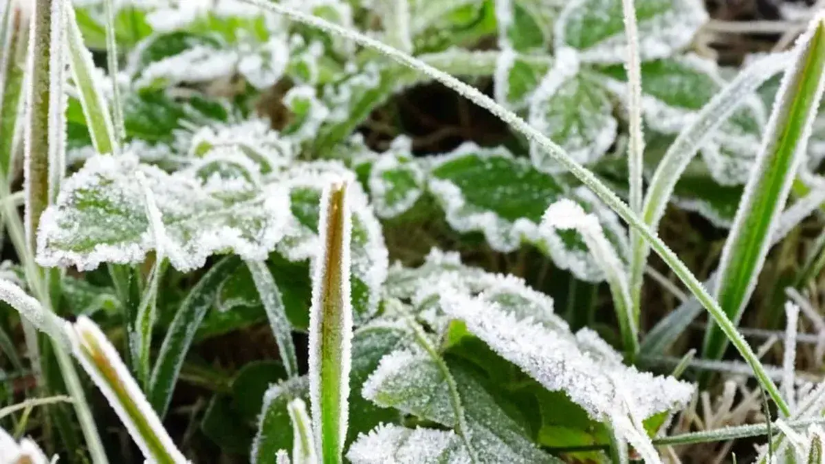 Clima en Uruguay hoy: lo que hay que saber según Inumet para este martes 16 de junio