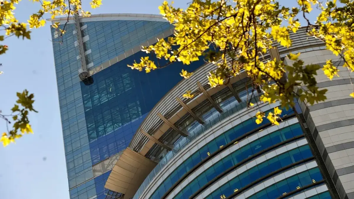 Antel abrió un llamado laboral con 46 vacantes y sueldo de más de $ 60 mil: mirá requisitos y cómo anotarse