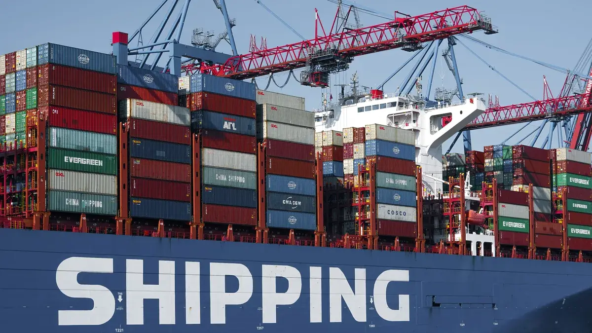 Carne bovina, celulosa y lácteos explican casi la mitad de todos los ingresos por exportaciones de bienes