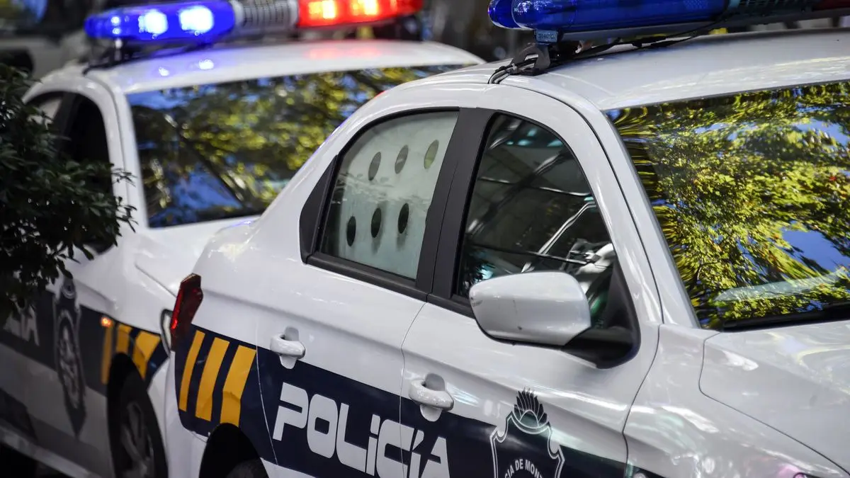 Una mujer fue asesinada por su pareja, que se suicidió: tenían un hijo en común y no había denuncias previas