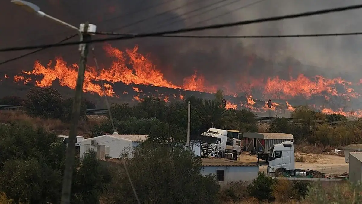 Incendio en Almería: un poste de luz en desuso habría desatado el fuego que dejó 13 muertos y 7.000 hectáreas arrasadas