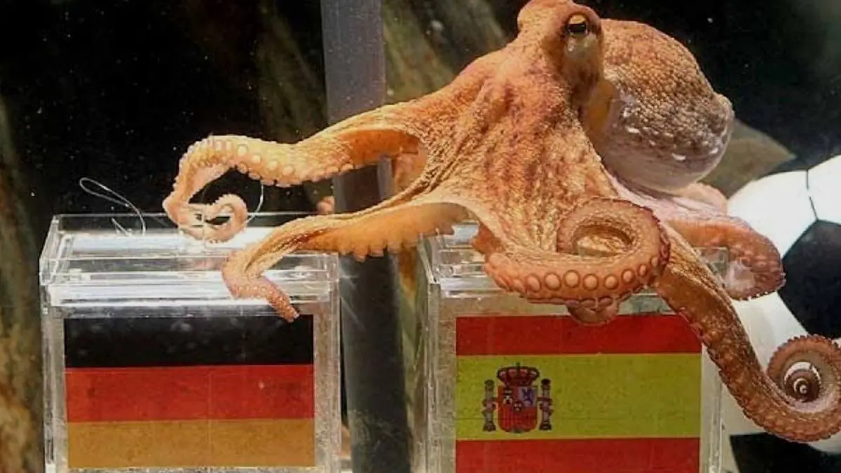 La penca del Mundial 2026 ya no se hace con el Pulpo Paul: la inteligencia artificial tomó el relevo en predicciones mundialistas; mirá los favoritos para las IA