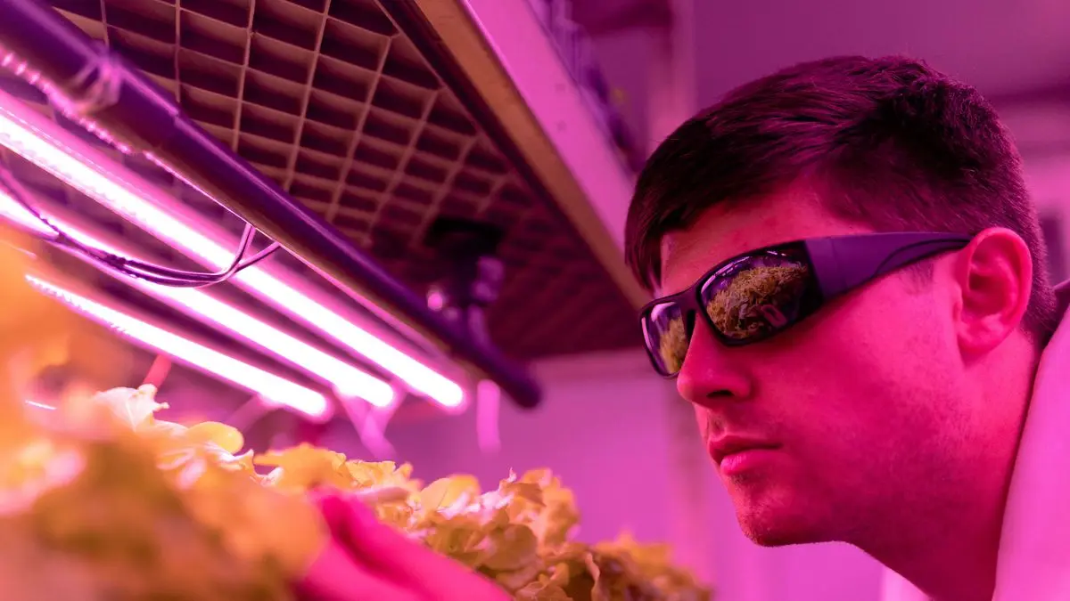 Detalles de un llamado para acelerar startups y nuevos datos del ecosistema agrifoodtech de la región