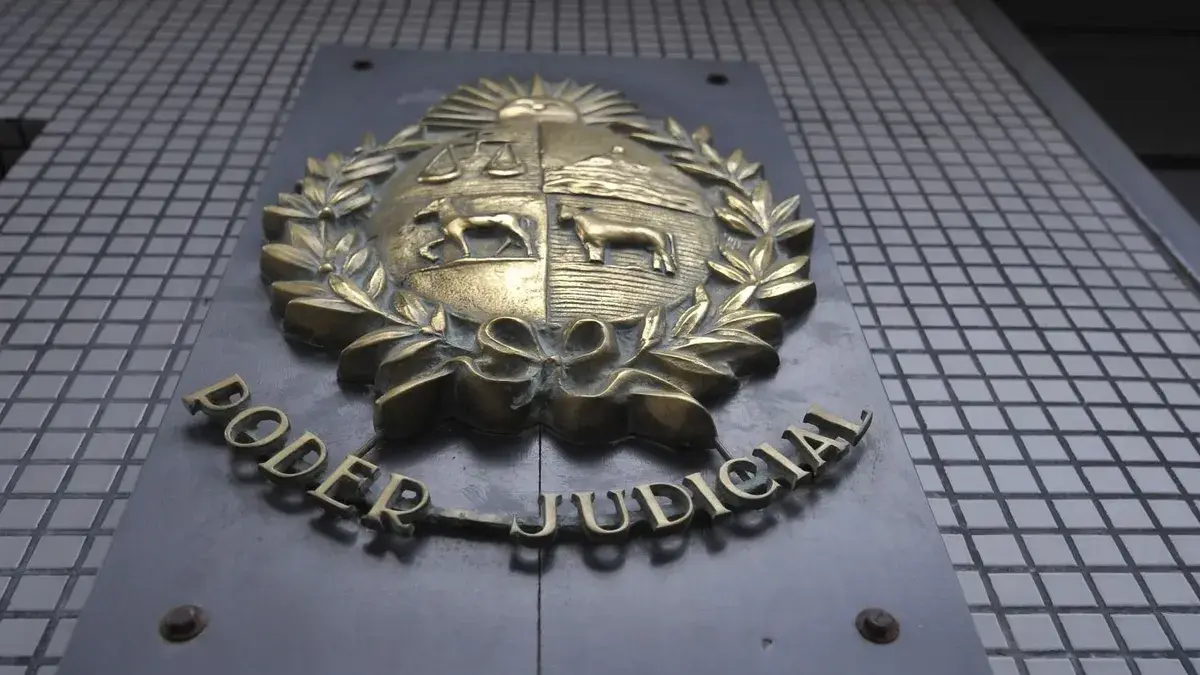 Tribunal de Apelaciones suspendió caso Goldring hasta definir si hace lugar a prueba que pidió abogada para el juicio