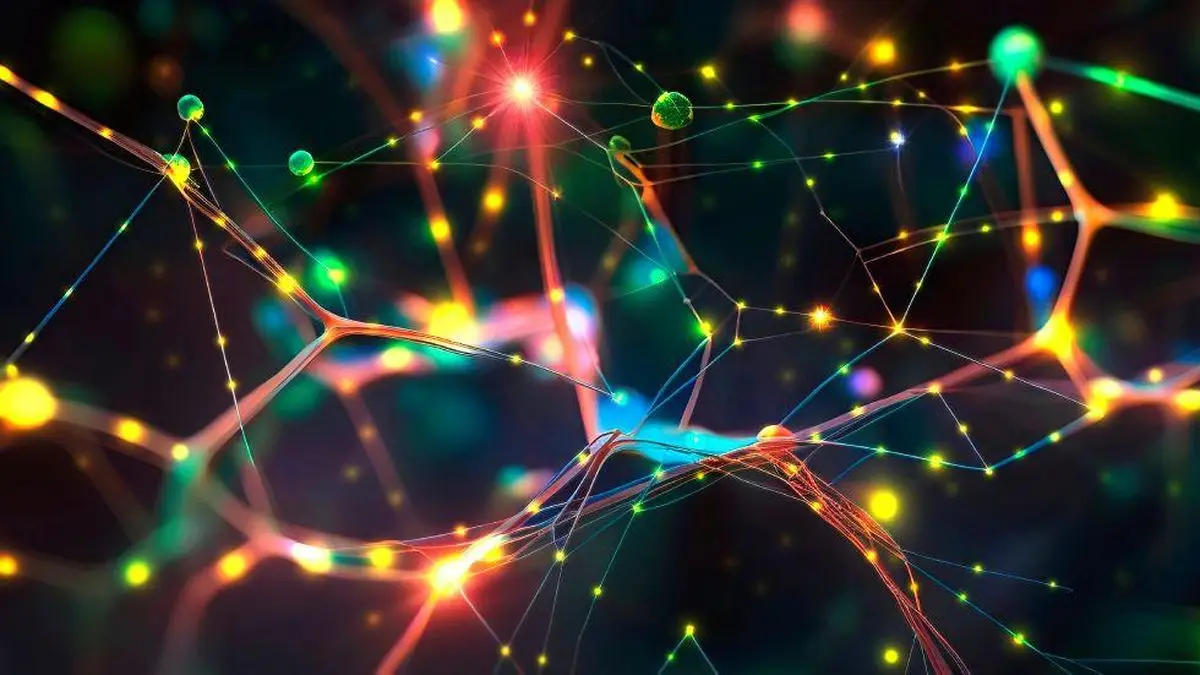 La aduana cognitiva